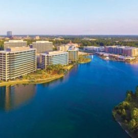 The Woodlands profile image
